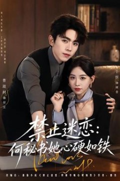 禁止迷恋：何秘书她心硬如铁
