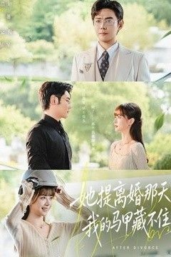 她提离婚那天，我的马甲藏不住