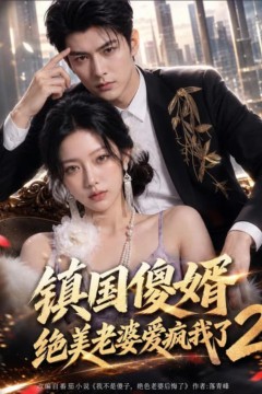镇国傻婿：绝美老婆爱疯我了2
