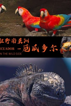 狂野南美洲-厄瓜多尔中文版