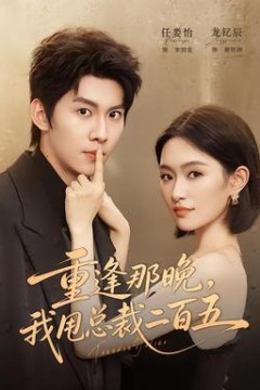 重逢那晚，我甩总裁二百五