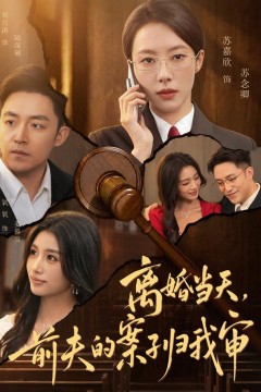 离婚当天,前夫的案子归我审
