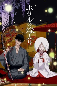 萤火虫之婚