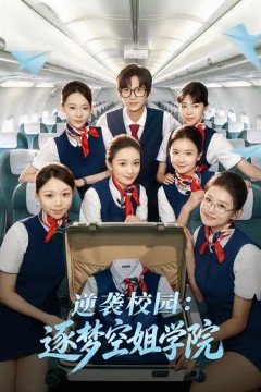 逆袭校园：逐梦空姐学院