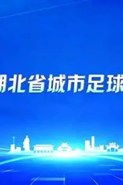2026湖北省城市足球联赛1_4决赛全场回放：襄阳东风风神VS荆州恒隆