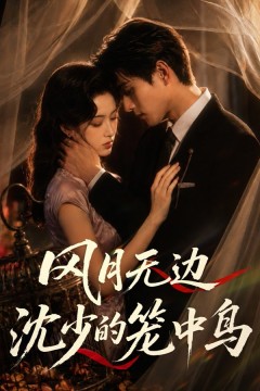 风月无边，沈少的笼中鸟