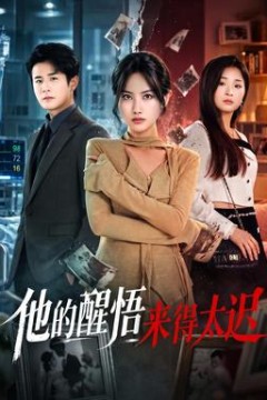 他的醒悟来得太迟