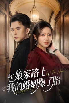 娘家路上,我的婚姻爆了胎