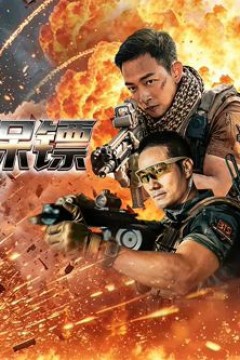 疾速保镖